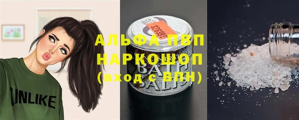 соль ск Дмитриев