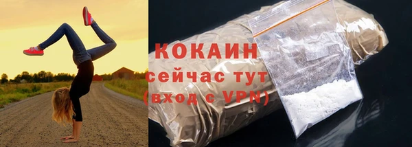 соль ск Дмитриев