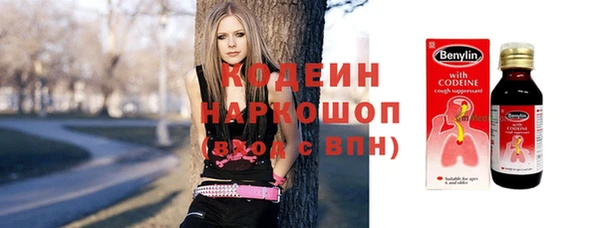 соль ск Дмитриев