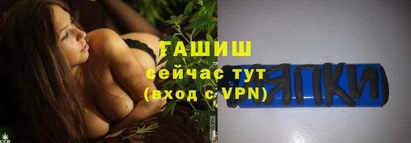 соль ск Дмитриев