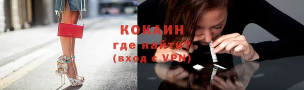соль ск Дмитриев