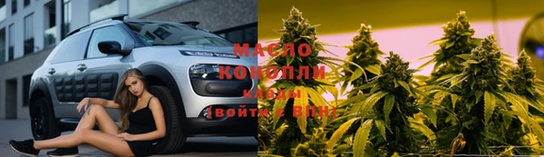 соль ск Дмитриев