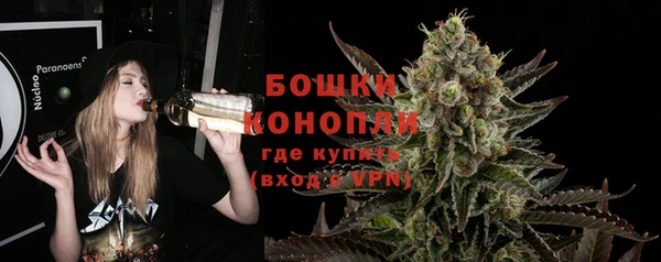 соль ск Дмитриев