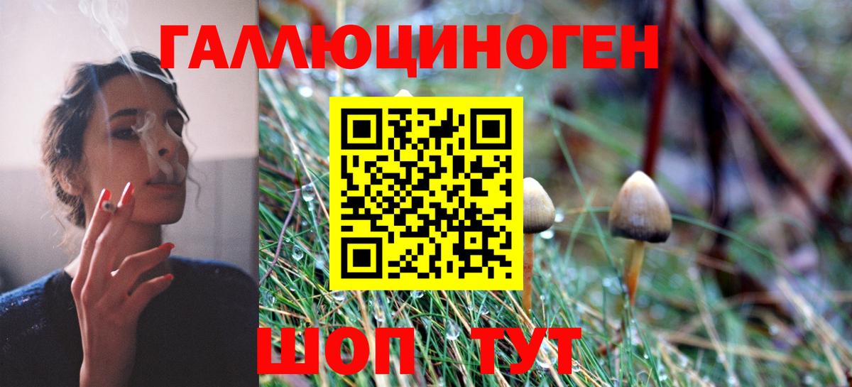 Псилоцибиновые грибы Magic Shrooms Заволжье